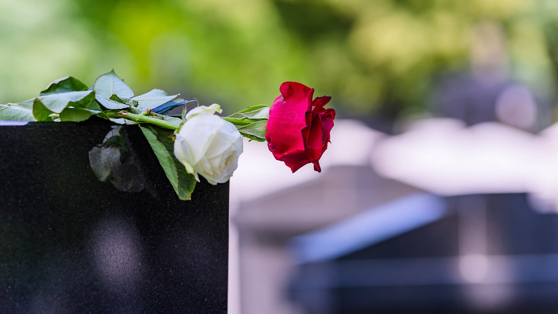 Какие цветы дарят на похороны